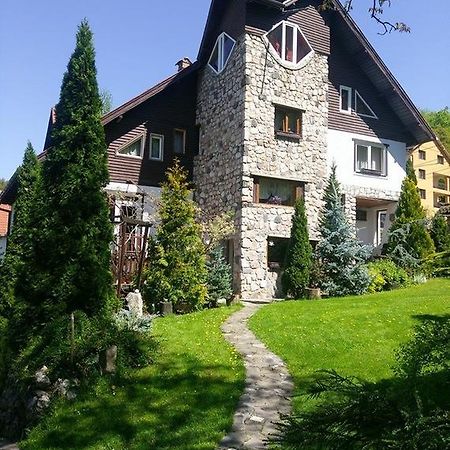 Pension Casa Contelui Rîşnov Екстериор снимка