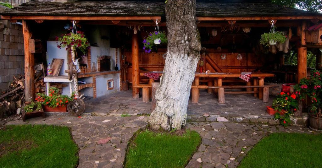 Pension Casa Contelui Rîşnov Екстериор снимка