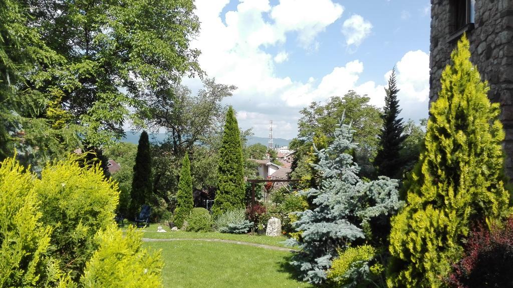 Pension Casa Contelui Rîşnov Екстериор снимка