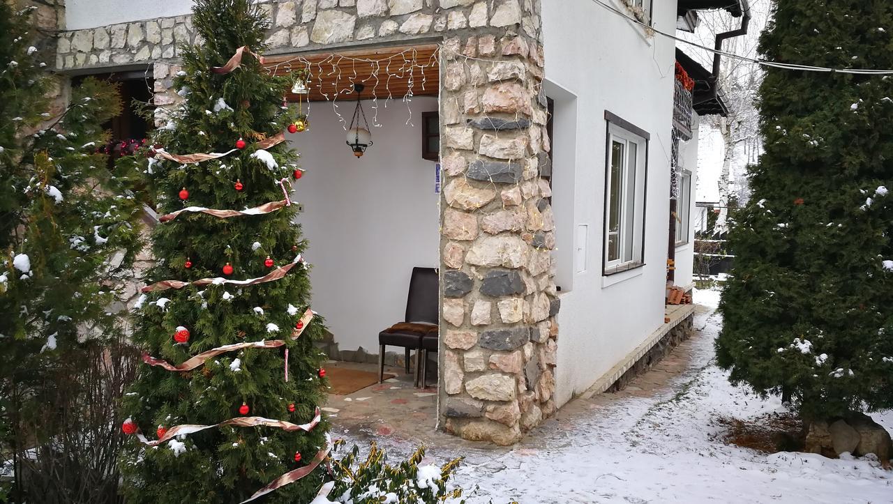 Pension Casa Contelui Rîşnov Екстериор снимка