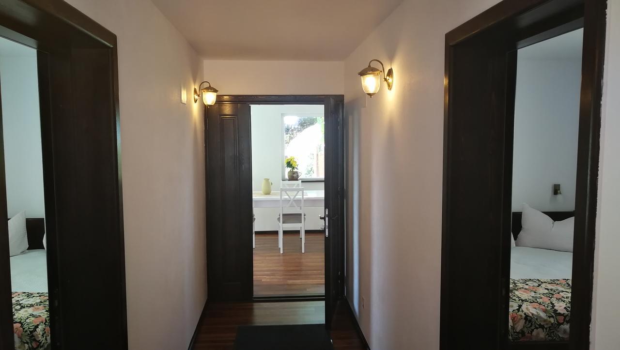 Pension Casa Contelui Rîşnov Екстериор снимка