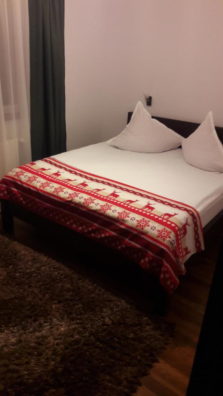 Pension Casa Contelui Rîşnov Екстериор снимка